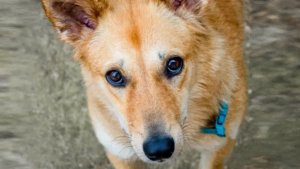 Img_IS_CSR_4_resized-1024x576